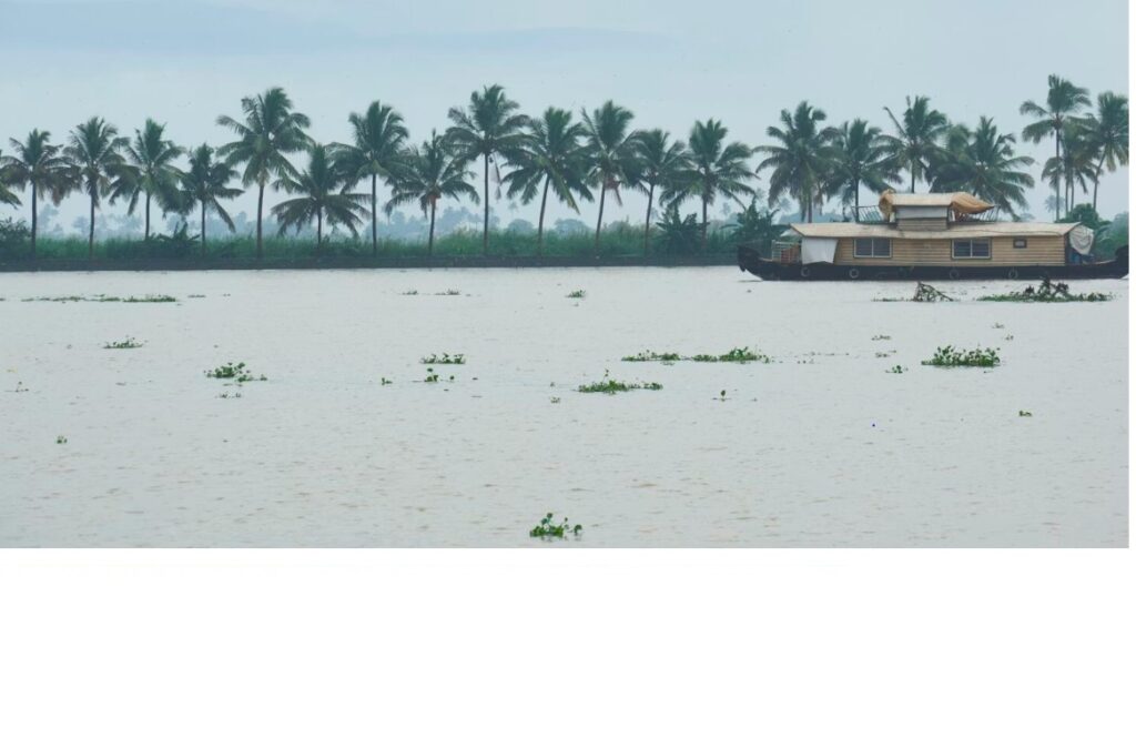 home alleppey latest