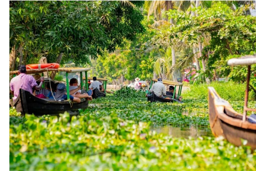 Traditional boats moving through Kerala backwaters near Alleppey