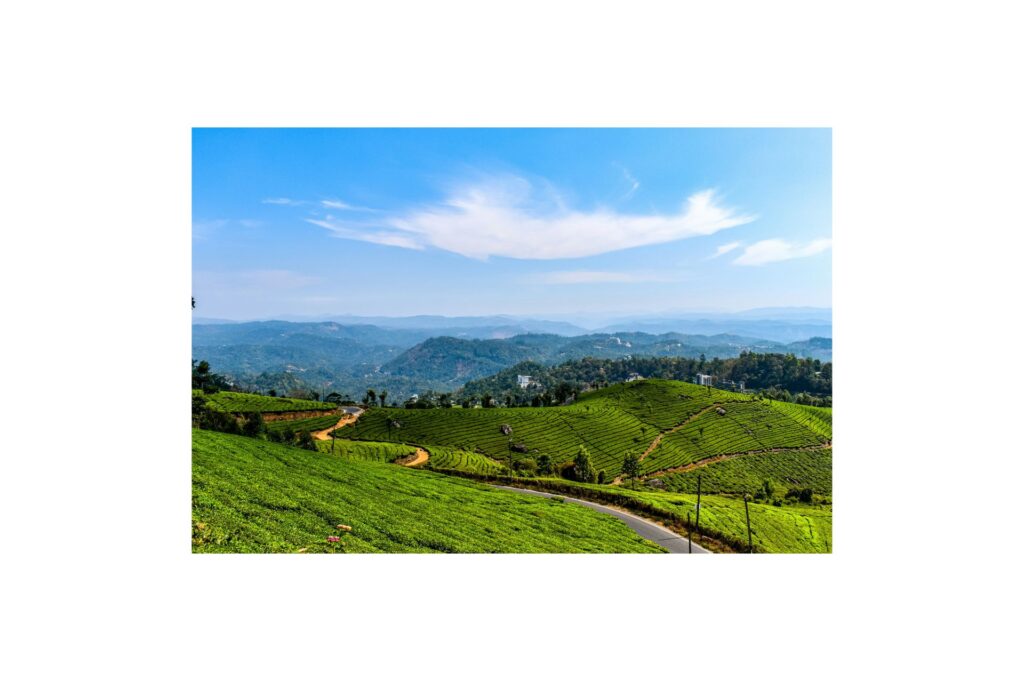 Explore Kerala Destinations Munnar tea plantations and misty hills in Kerala
